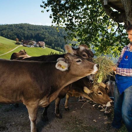 Mair Am Graben Farm * Chalets Terento Luaran gambar