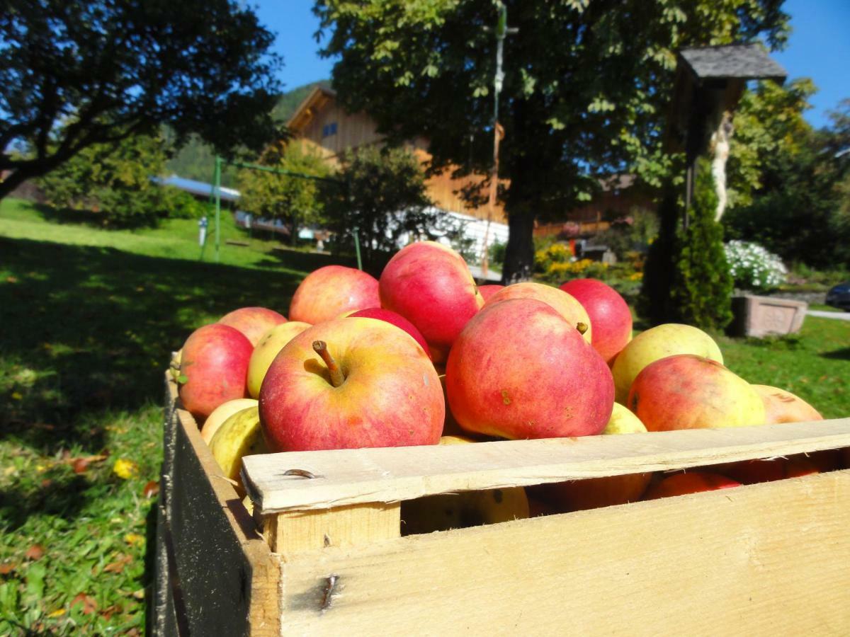 Mair Am Graben Farm * Chalets Terento Luaran gambar