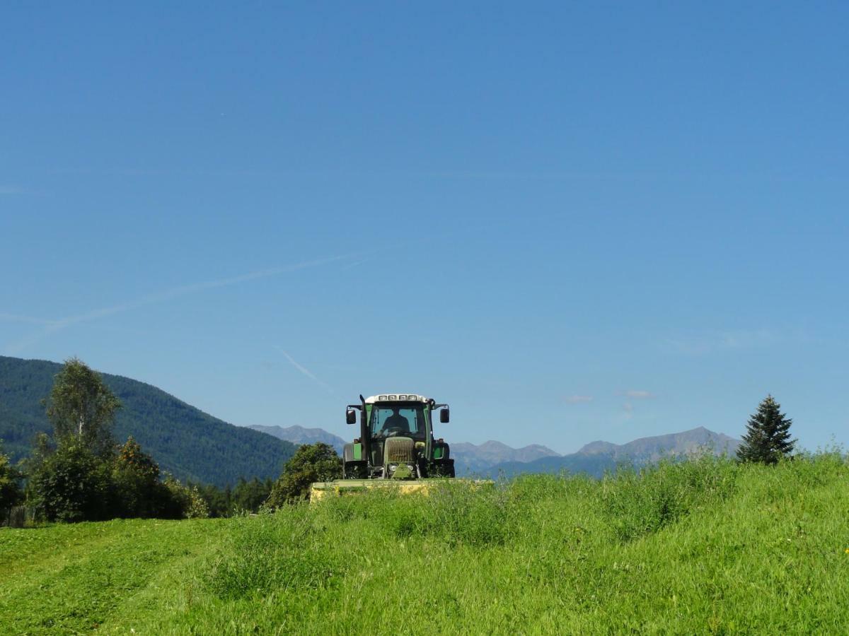 Mair Am Graben Farm * Chalets Terento Luaran gambar