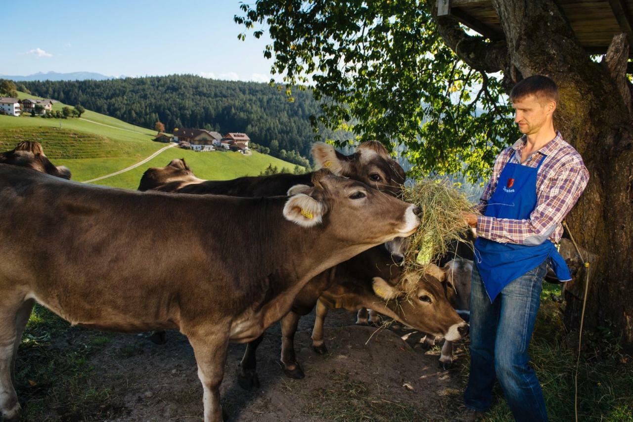 Mair Am Graben Farm * Chalets Terento Luaran gambar