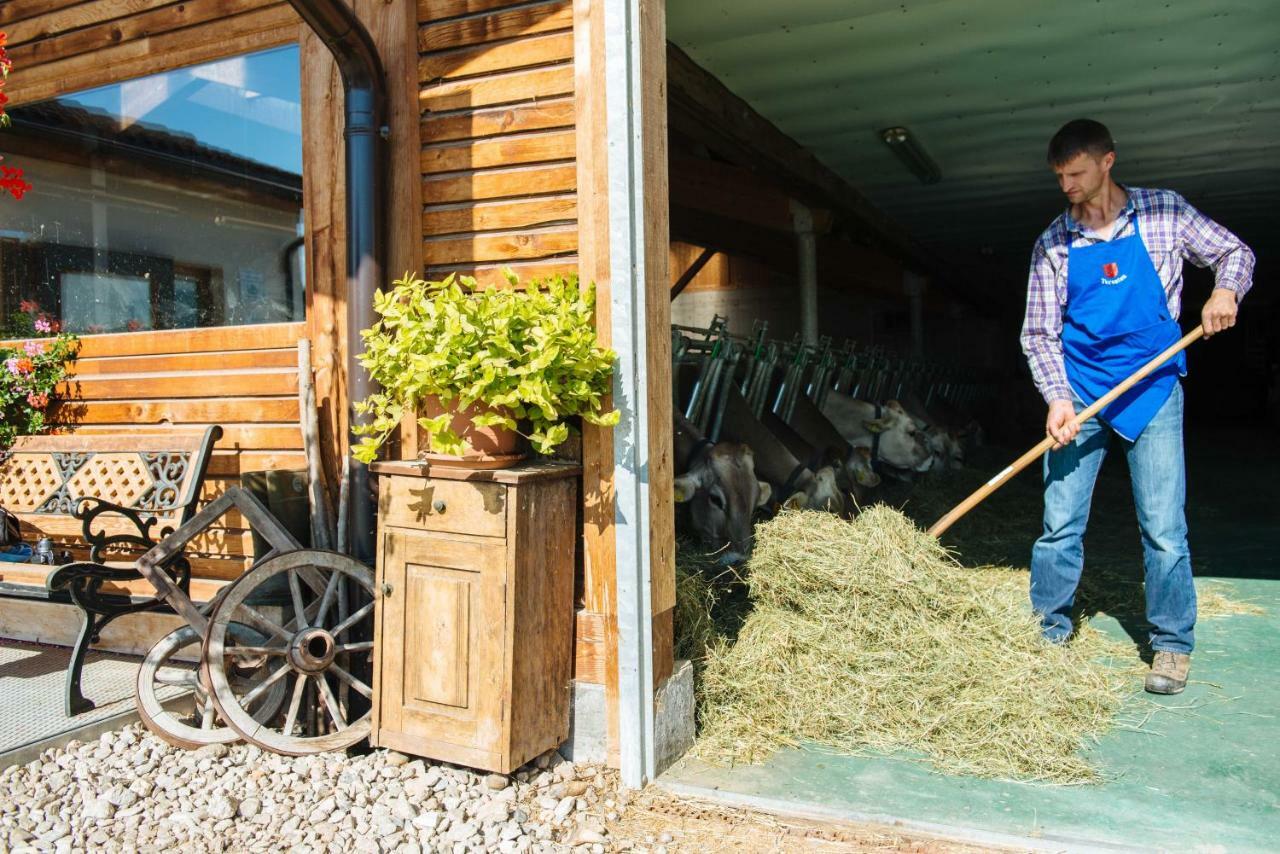 Mair Am Graben Farm * Chalets Terento Luaran gambar